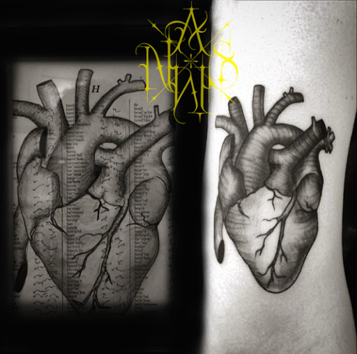 Tattoo Shop «All Wolves No Sheep Tattoo Parlour», reviews and photos, 920 Fulton St, Brooklyn, NY 11238, USA