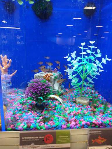 Pet Supply Store «PetSmart», reviews and photos, 1515 US-22, Watchung, NJ 07069, USA