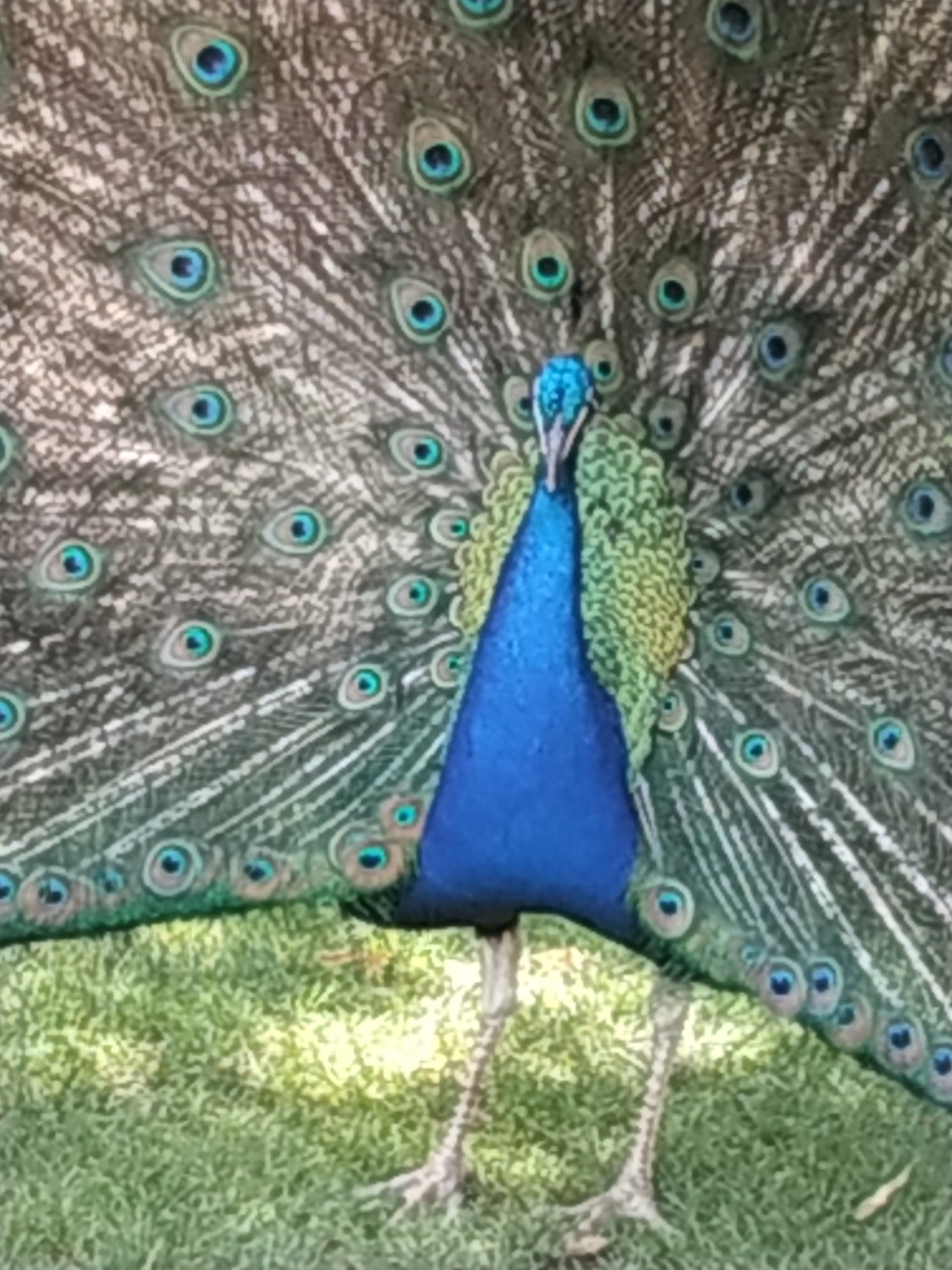 Photo n° 3 de l'avis de Lucette.A fait le 26/07/2023 à 15:32