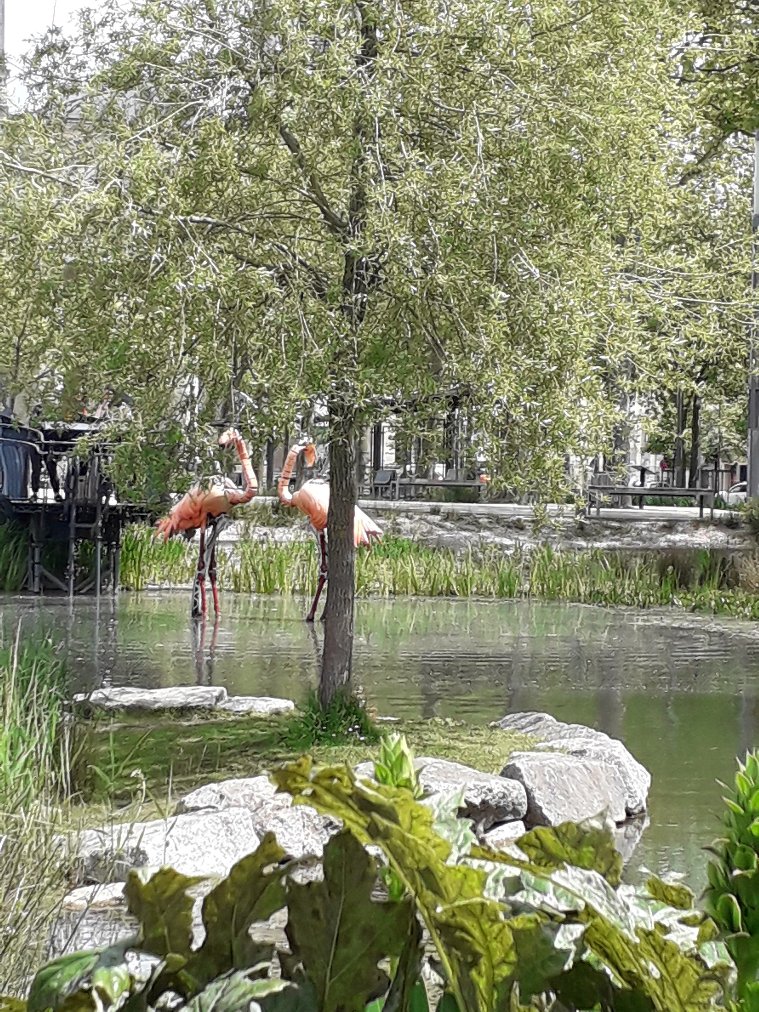 Photo n° 2 de l'avis de Jeanch. fait le 09/05/2019 à 20:29