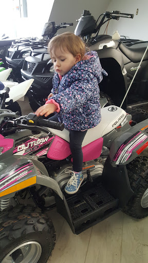 Boat Dealer «Bay Harbor Motors», reviews and photos, 457 Bay St, Staten Island, NY 10304, USA