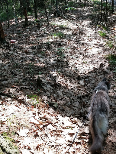 Campground «Lorraine Park Campground», reviews and photos, 133 Jenkins Rd, Andover, MA 01810, USA