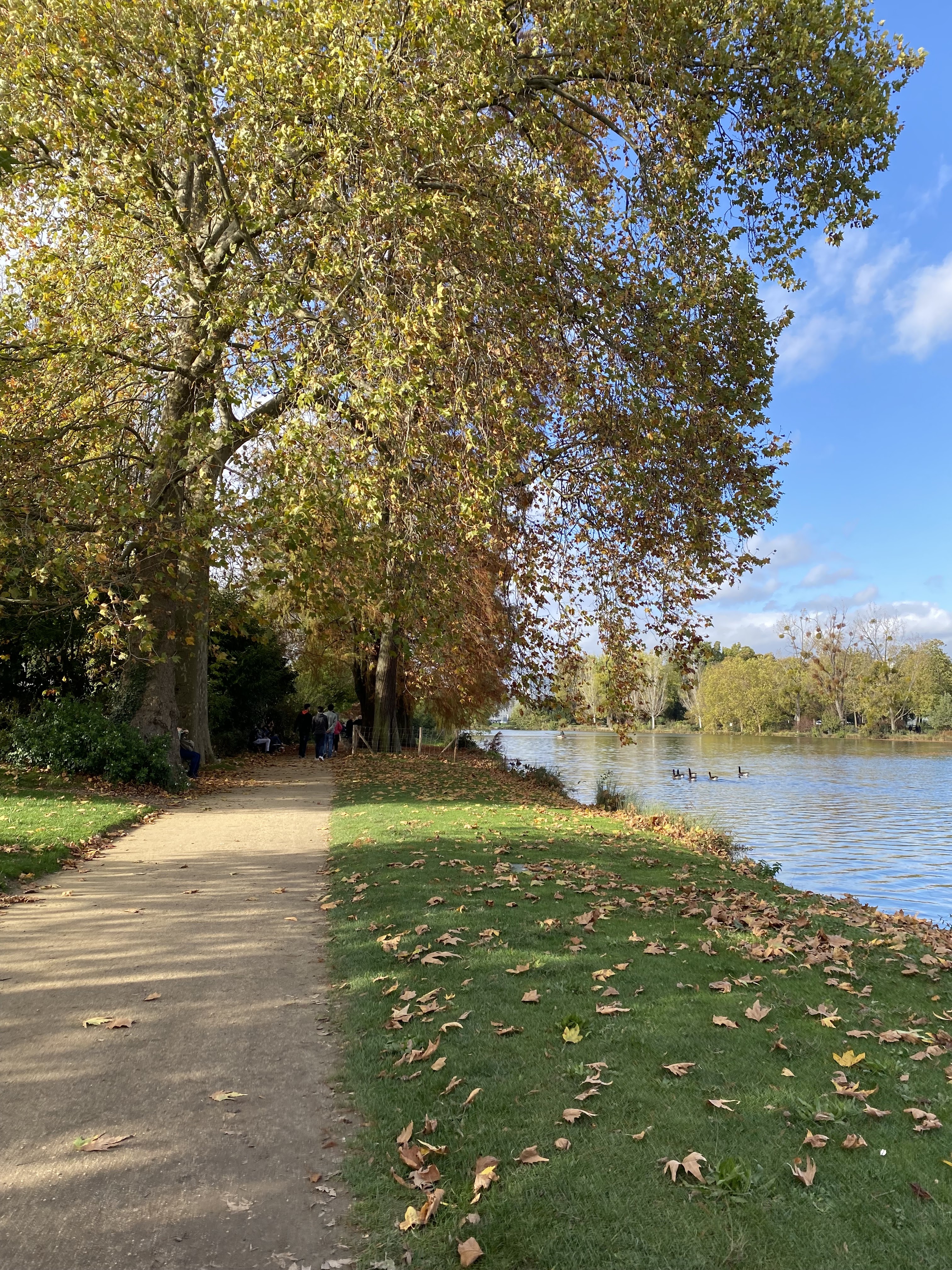 Photo n° 1 de l'avis de Layana. fait le 02/11/2022 à 13:10