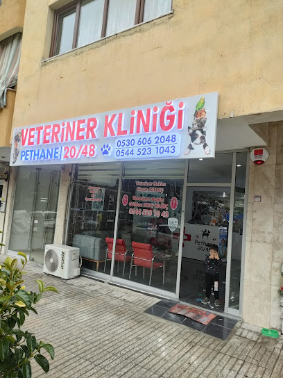 Denizli pethane 20/48 veteriner kliniği