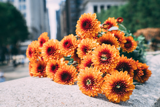 Florist «Ashland Addison Florist», reviews and photos, 3118 N Lincoln Ave, Chicago, IL 60613, USA