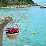 Photo n°7 de l'avis de D. fait le 10/07/2022 à 07:41 sur le  Lo Smeraldo à Capri