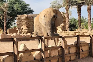Elephant zone - Riyadh Zoo image