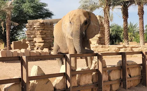 Elephant zone - Riyadh Zoo image