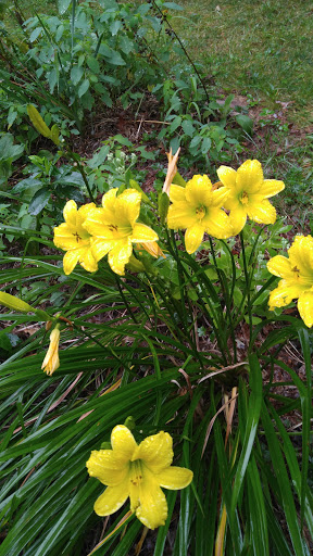 Gift Shop «Stonehedge Gardens», reviews and photos, 51 Dairy Rd, Tamaqua, PA 18252, USA