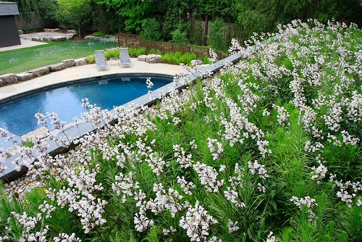 Roofing Contractor «Pioneer Roofers», reviews and photos, 818 SW 3rd Ave #417, Portland, OR 97204, USA