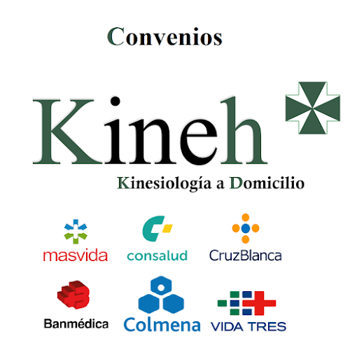 Kineh kinesiologia a domicilio - Fisioterapeuta