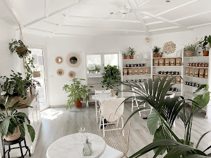 Photo n°31 de Nymphea à Porto-Vecchio ()