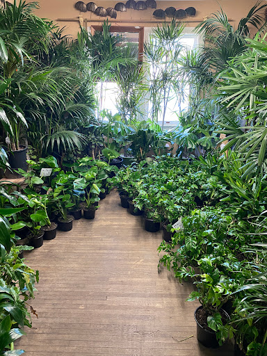 Florist «Plant Safari», reviews and photos, 653 N Central Ave, Upland, CA 91786, USA