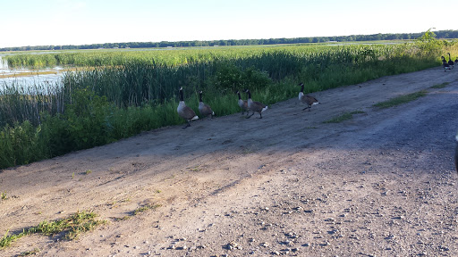 National Reserve «Montezuma National Wildlife Refuge», reviews and photos, 3395 US-20, Seneca Falls, NY 13148, USA