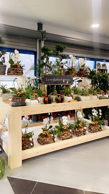 Les 1001 fleurs à Hénin-Beaumont