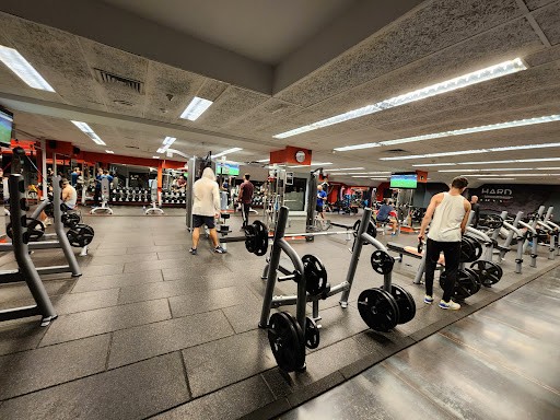 Body Factory en Madrid, Madrid