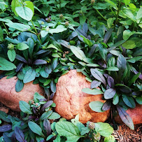 designs.of.thought - Photo 5 - Car repair in , Redding