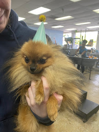 Bath & Biscuits - Photo 5 - Car repair in Sacramento, CA, Sacramento