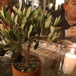 Photo n°21 de l'avis de Ben.a fait le 17/01/2018 à 08:55 sur le  La Limonaia à Turin