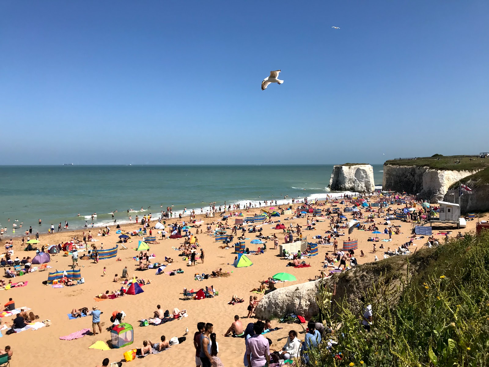Foto von Botany Bay beach wilde gegend