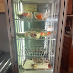 Photo n°12 de l'avis de Luigi.h fait le 03/02/2023 à 07:43 sur le  Bar Tavola Calda Bucaneve à Brentonico