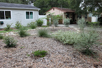 Step by Step Native Landscaping - Photo 2 - Car repair in St. Petersburg, FL, St. Petersburg