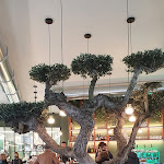 Photo n°1 de l'avis de Domenico.l fait le 25/12/2021 à 13:48 sur le  The Corner à Cuneo