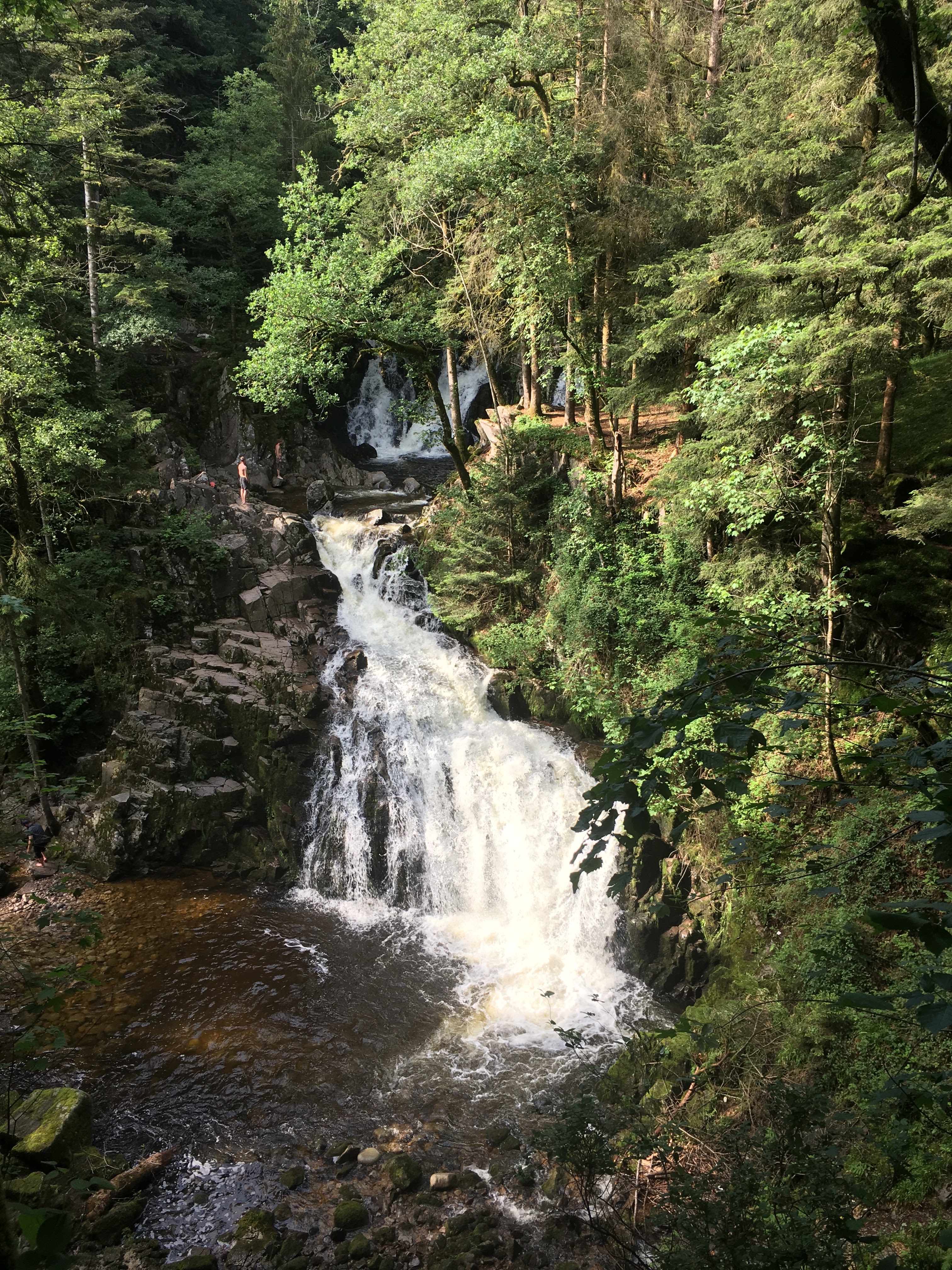 Photo n° 1 de l'avis de Yannick.r fait le 16/06/2018 à 05:46