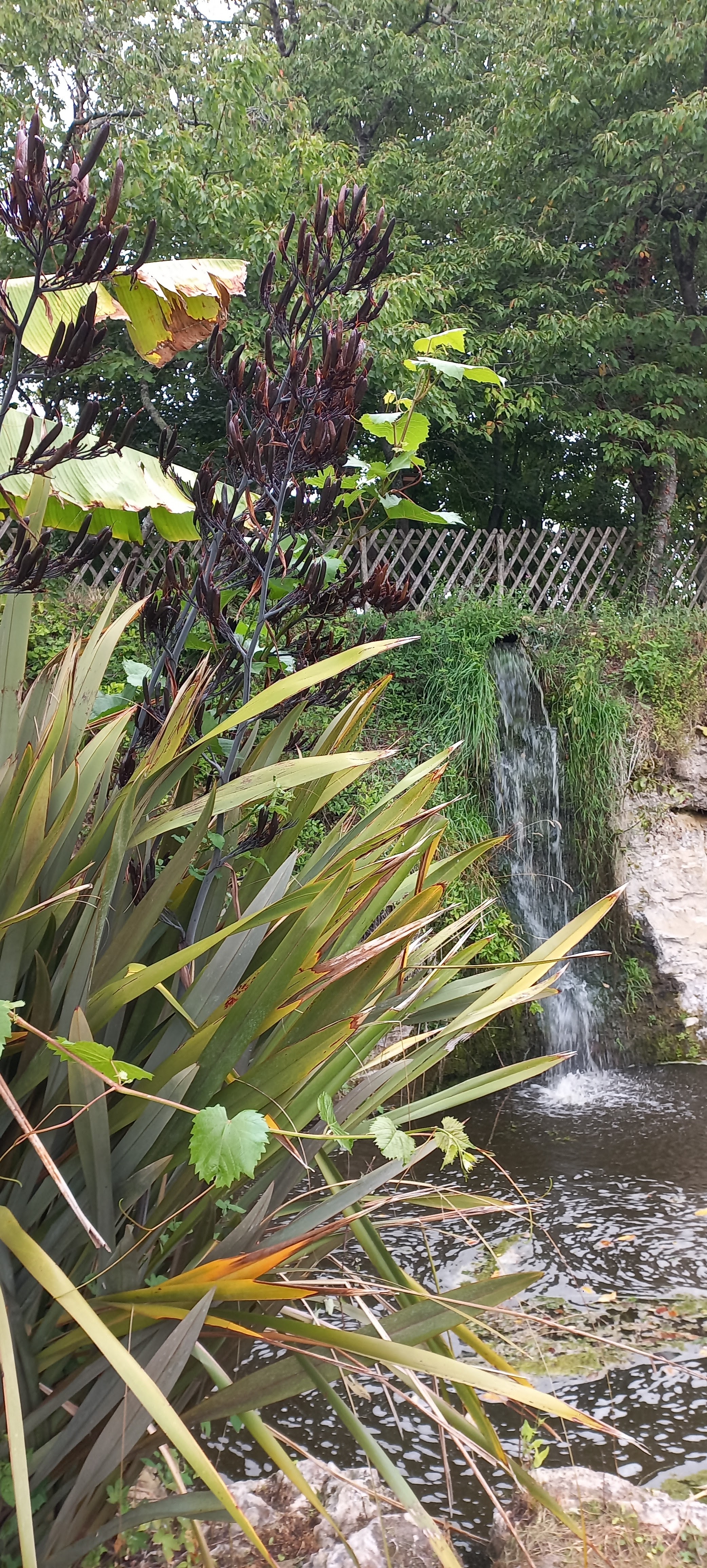 Photo n° 6 de l'avis de Mille.l fait le 31/07/2023 à 16:42