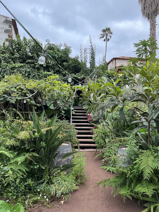 Bodega Museo de Malvasía