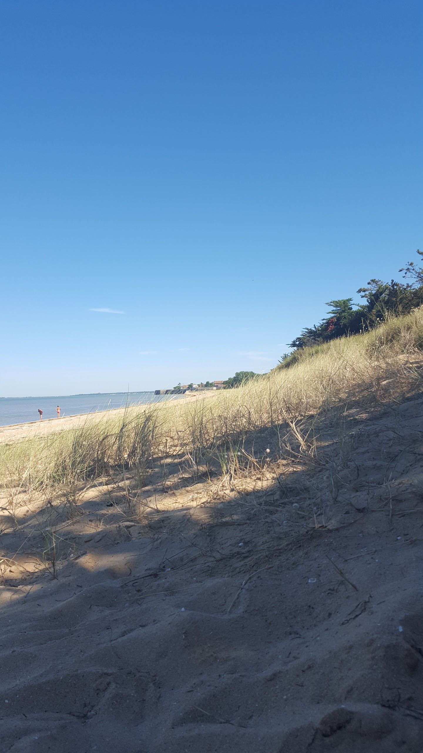Photo n° 2 de l'avis de isabelle.a fait le 07/07/2017 à 17:37