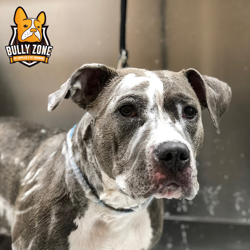Pet Supply Store «Bully Zone Pet Supplies & Pet Grooming», reviews and photos, 1409 McCarter Hwy, Newark, NJ 07104, USA