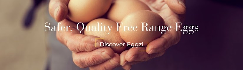 Eggzi