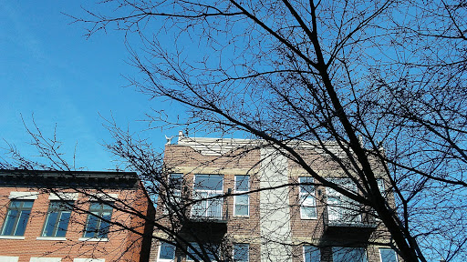 Cafe «The Wormhole Coffee», reviews and photos, 1462 N Milwaukee Ave, Chicago, IL 60622, USA