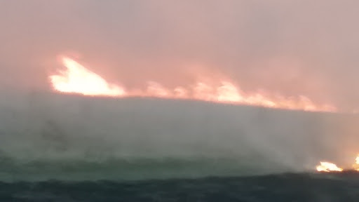 Nature Preserve «Jacob Krumm Nature Preserve», reviews and photos, 15148 Jacob Ave, Grinnell, IA 50112, USA