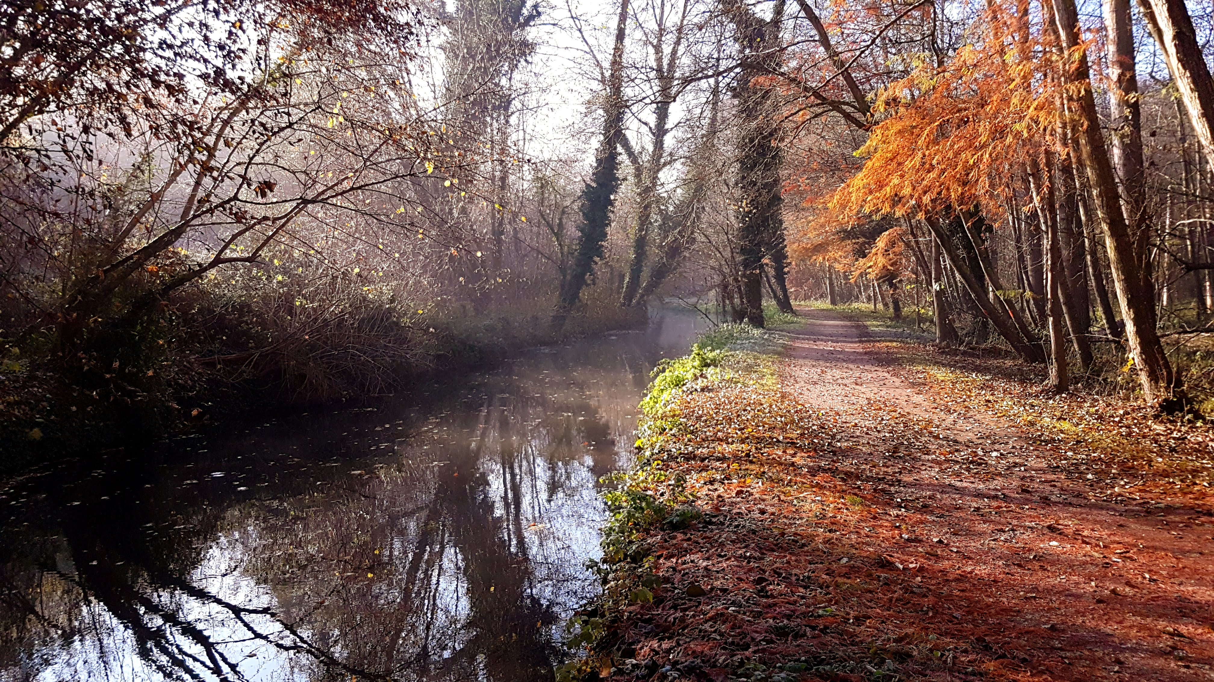 Photo n° 2 de l'avis de Françoise.u fait le 30/11/2018 à 12:08