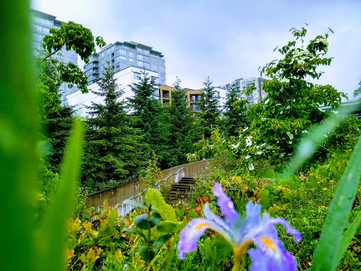 Park «Olympic Sculpture Park», reviews and photos, 2901 Western Ave, Seattle, WA 98121, USA