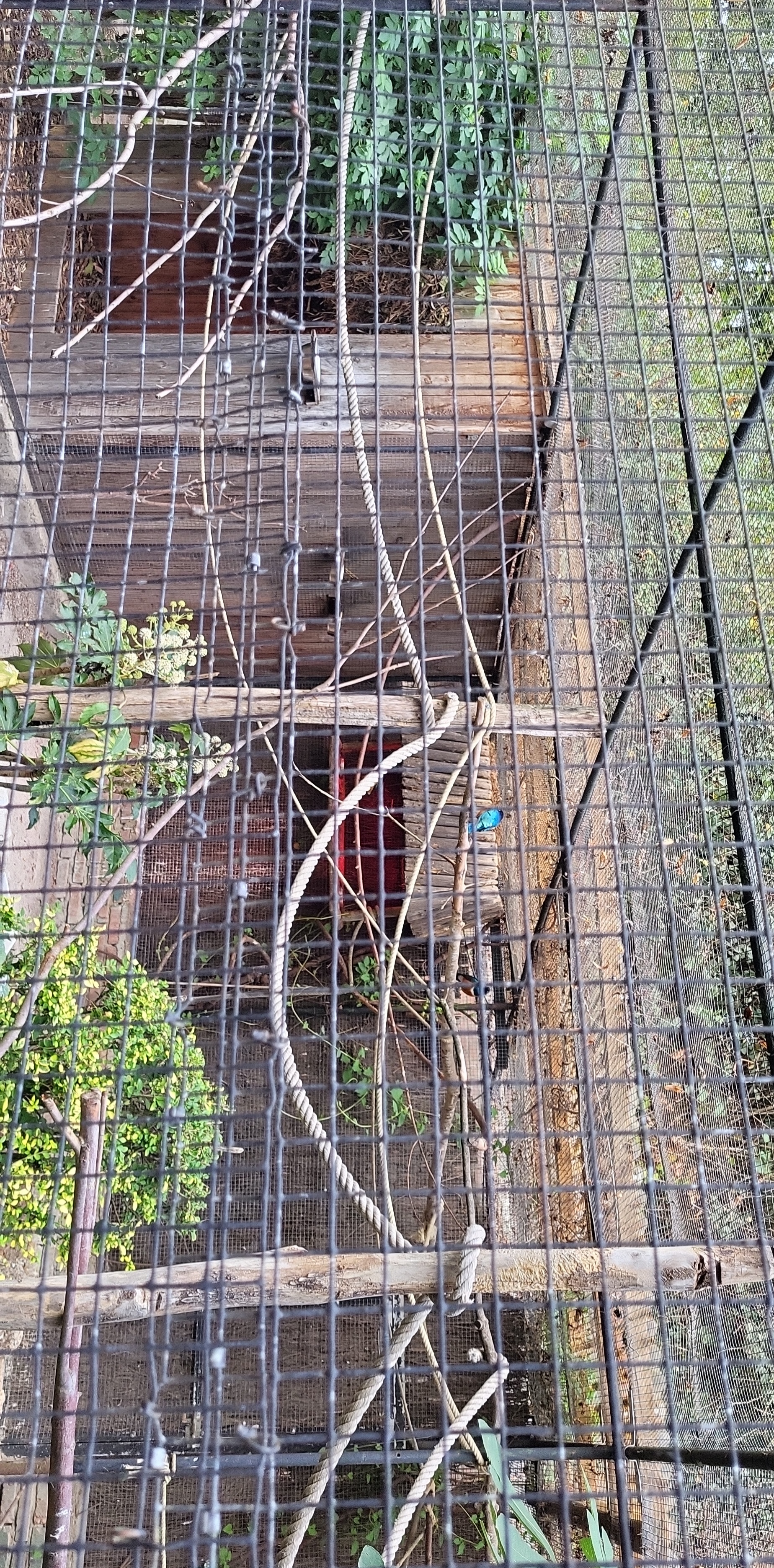 Photo n° 5 de l'avis de Jennifer.a fait le 11/11/2022 à 12:11