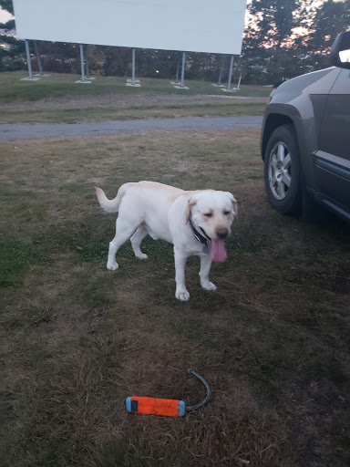 Drive-in Movie Theater «Circle Drive-In Theatre​», reviews and photos, 1911 Scranton Carbondale Hwy, Scranton, PA 18508, USA