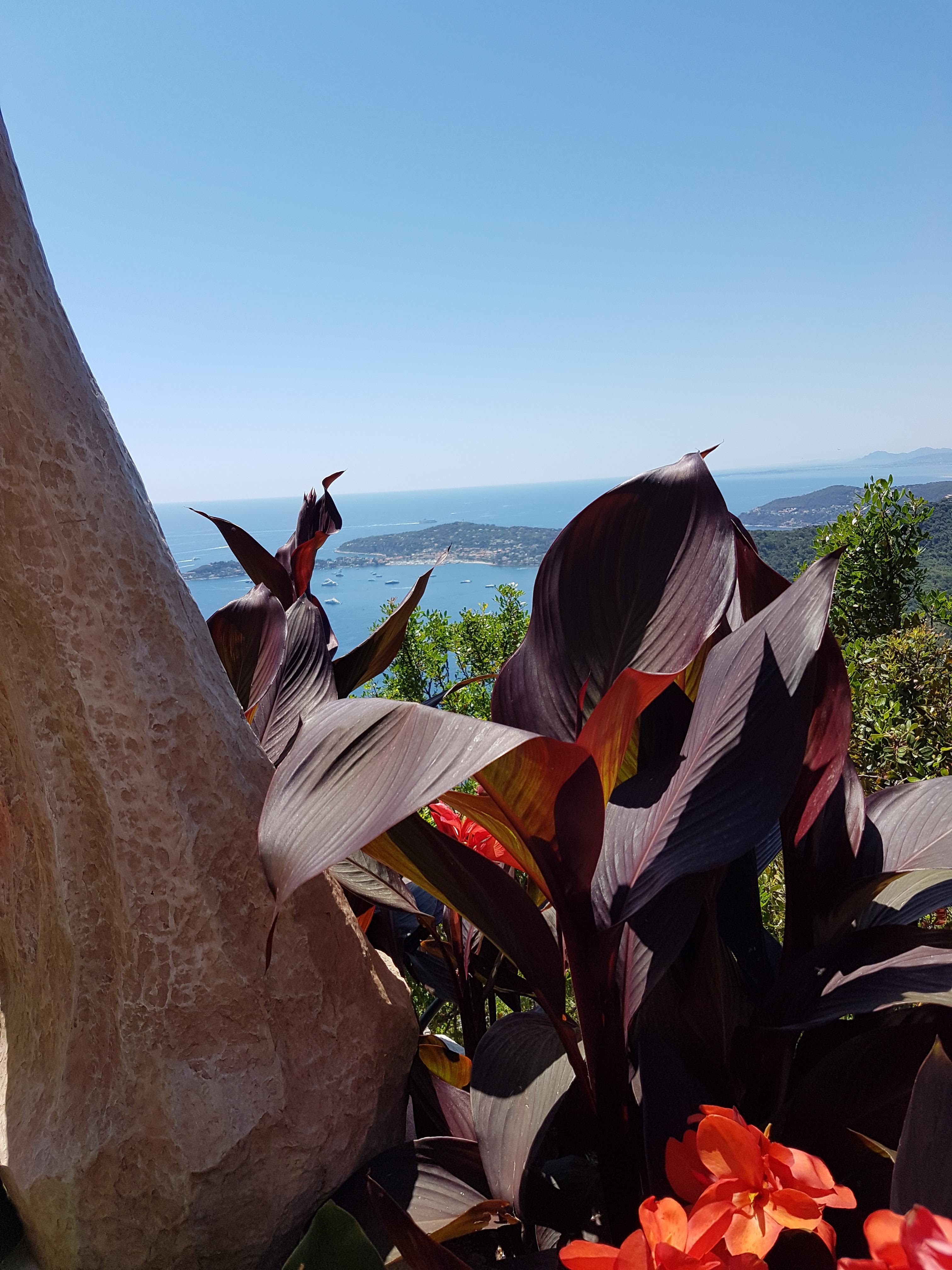 Photo n° 2 de l'avis de C.- fait le 22/07/2018 à 08:21