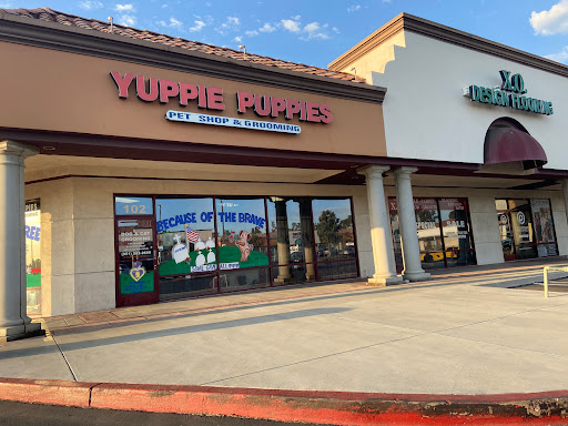 Pet Store «Yuppie Puppies Pet Shop», reviews and photos, 1218 Magnolia Ave, Corona, CA 92881, USA