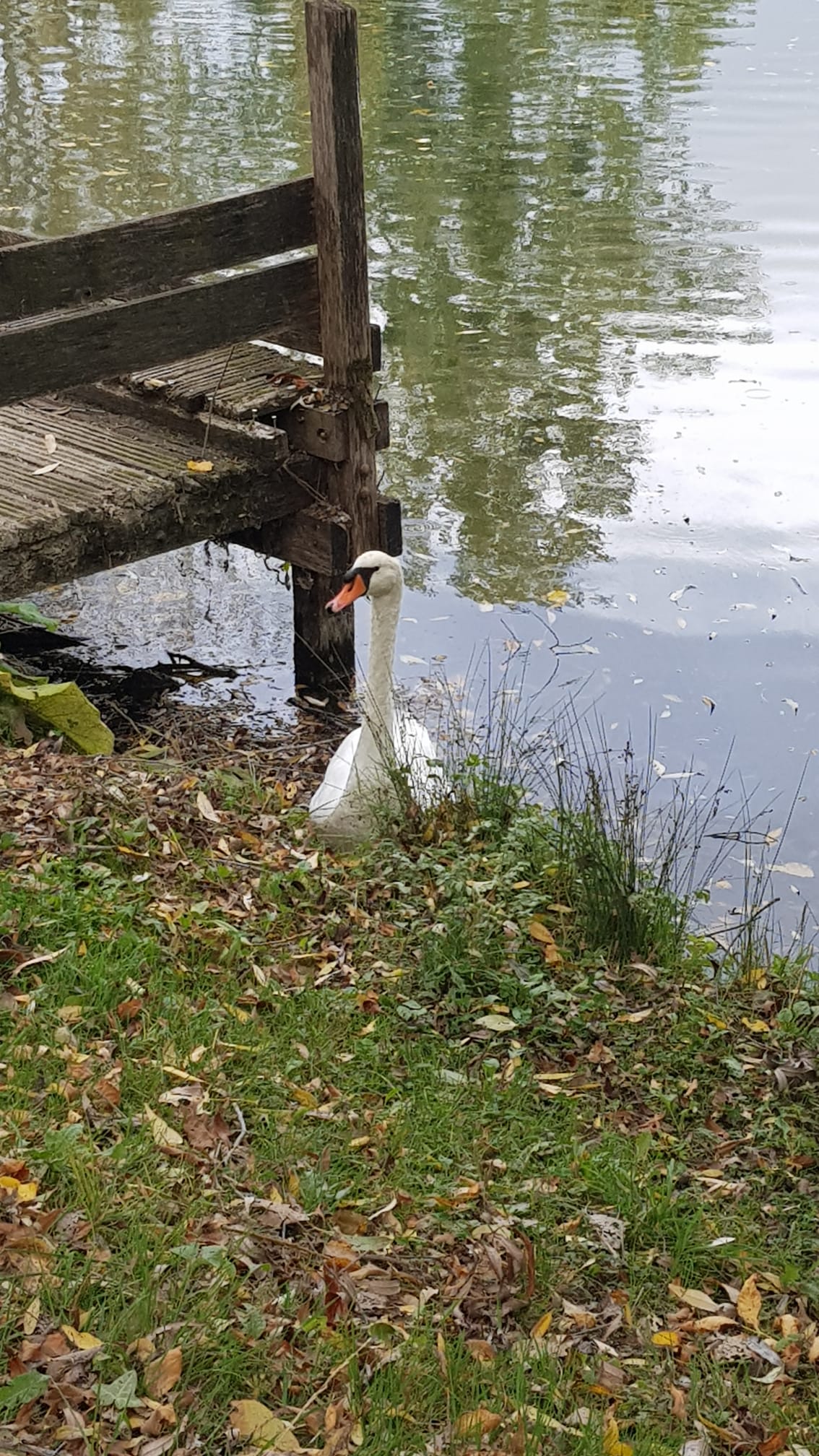Photo n° 1 de l'avis de Marc.L fait le 16/10/2023 à 18:25