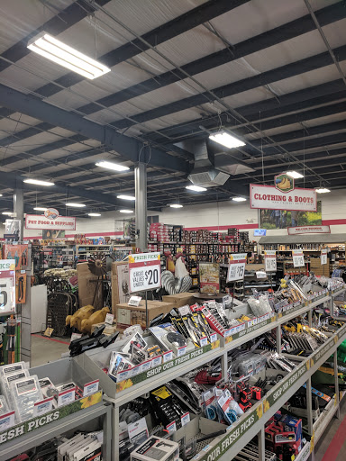 Home Improvement Store «Tractor Supply Co.», reviews and photos, 3345 US-1, St Augustine, FL 32086, USA