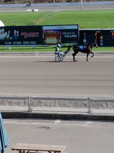 Car Dealer «Rausch Motors LLC», reviews and photos, 18225 Ponderosa Dr, Parker, CO 80134, USA