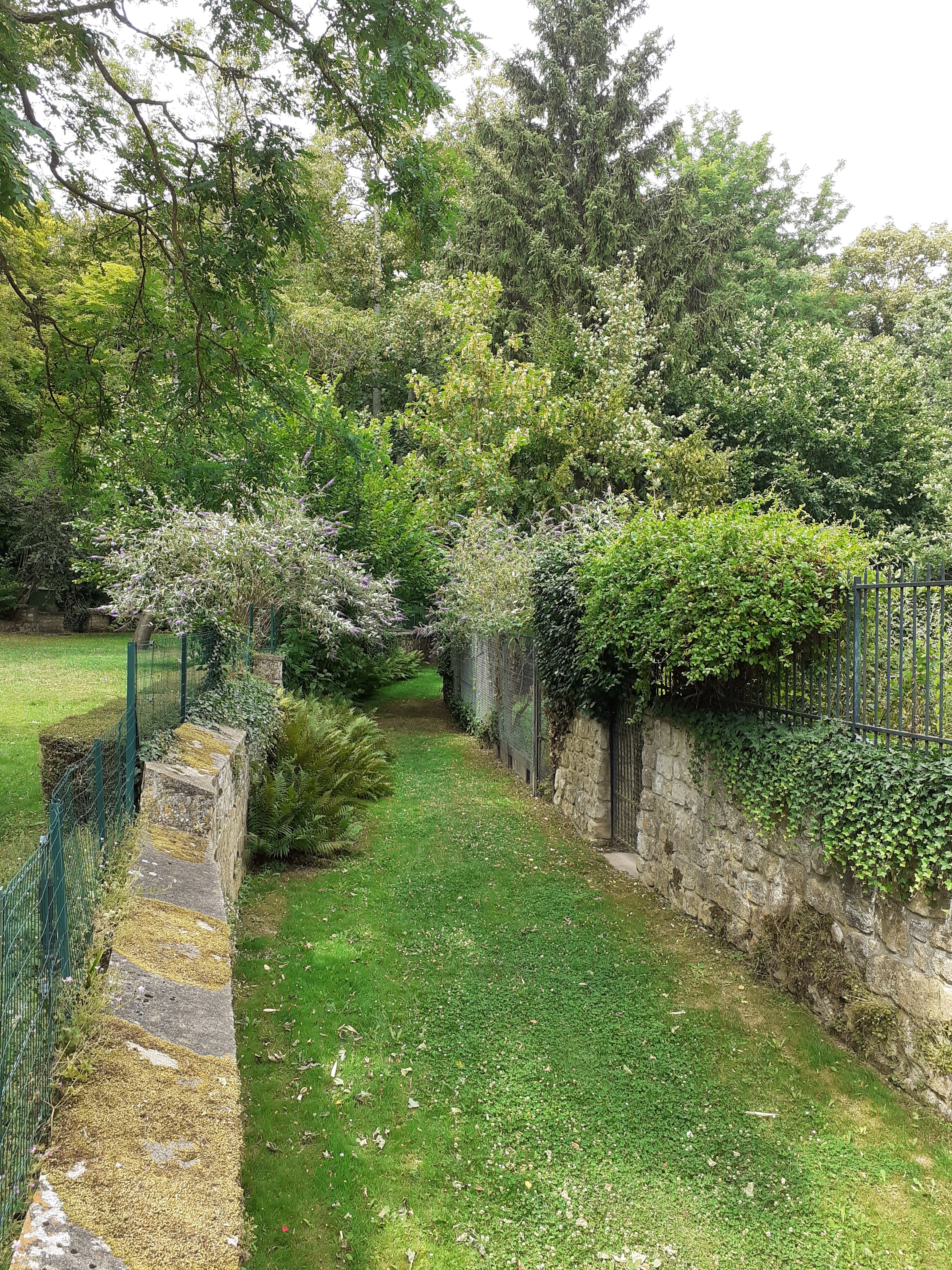 Photo n° 2 de l'avis de Thierry.i fait le 19/07/2021 à 17:40