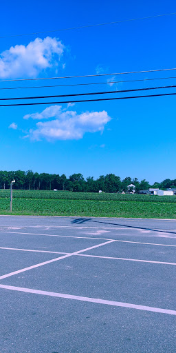 Produce Market «Stella Farms», reviews and photos, 459 Berlin New Freedom Rd, Berlin, NJ 08009, USA