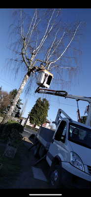 ENT.S.RODIER Paysagiste Elagueur et Terrassement à Branges