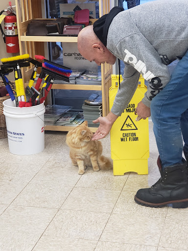 Garden Center «Winnisquam Agway», reviews and photos, 304 Daniel Webster Hwy, Belmont, NH 03220, USA