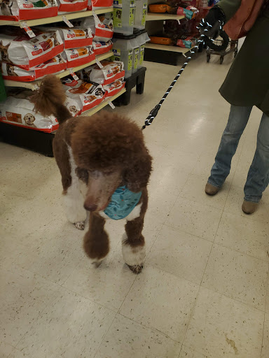 Pet Supply Store «PetSmart», reviews and photos, 7 U.S. 9, Manalapan Township, NJ 07726, USA