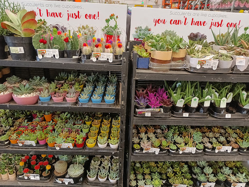 Home Improvement Store «The Home Depot», reviews and photos, 320 Bridgeton Pike, Mantua Township, NJ 08051, USA